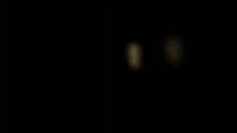 PREMIUM animated title